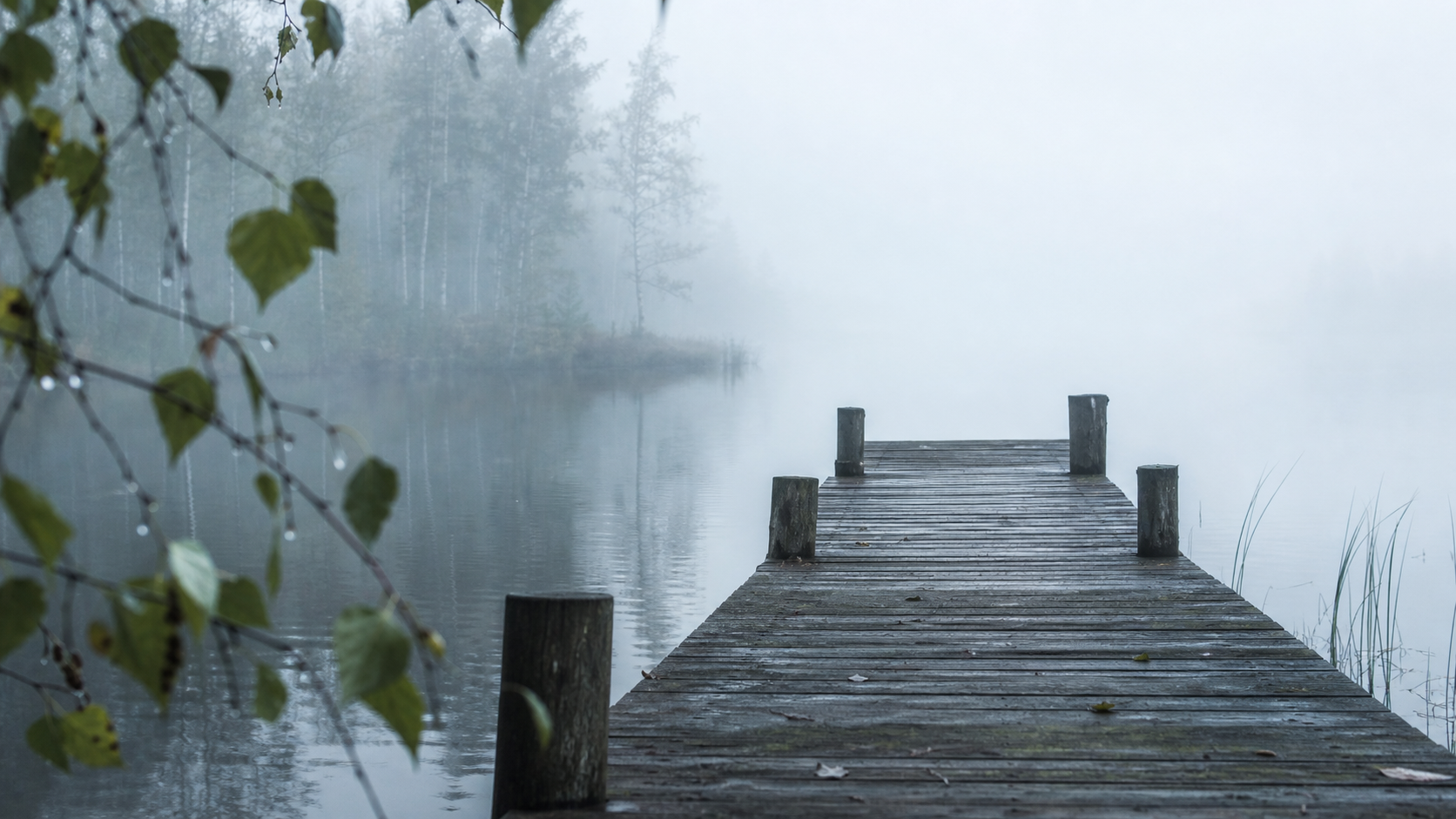 Wooden jetty extending into a mist-covered lake